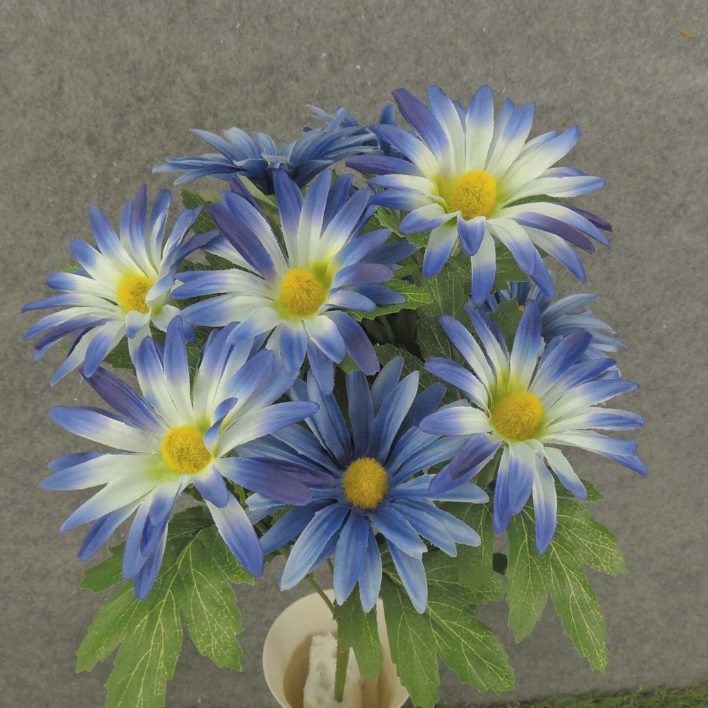 DAISY BUSH X11 18"  BLUE