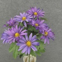 DAISY BUSH X11 18"  PURPLE