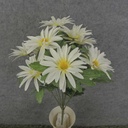 DAISY BUSH X11 18"  WHITE