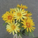 DAISY BUSH X11 18"  YELLOW