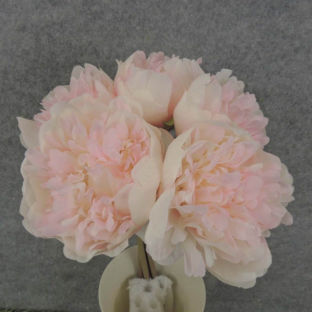 PEONY BUNDLE 10" X5 3"dia  CREAM/PINK