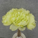 PEONY BUNDLE 10" X5 3"dia  LIGHT GREEN