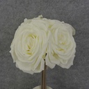 ROSE BUNDLE X5 12" 4.5"dia       CREAM/WHITE