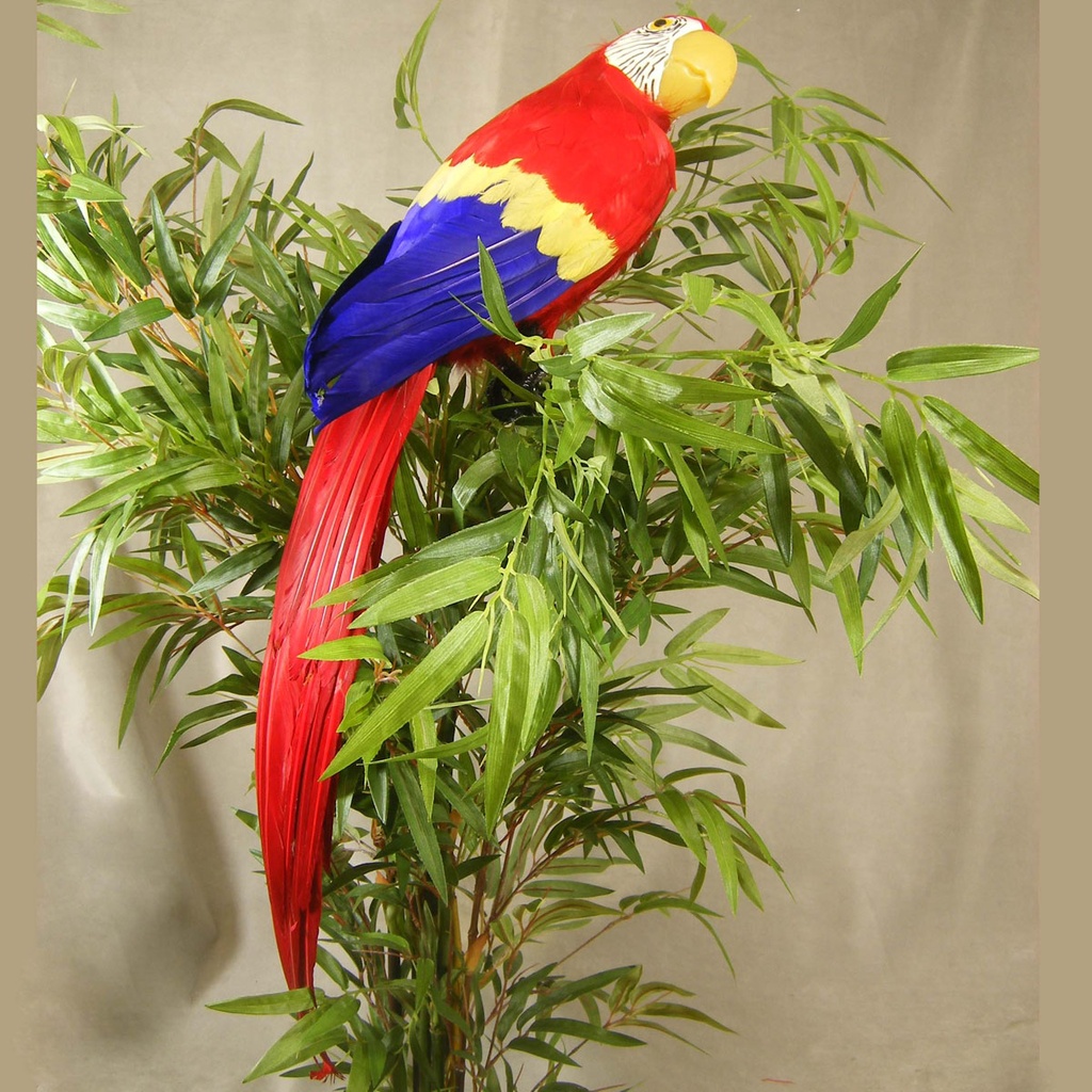 28" PARROT RED