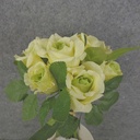 ROSE BUNDLE X7 10"  LIGHT GREEN