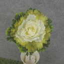 CABBAGE BLOSSOM PICK 5.5"dia  CREAM/GREEN