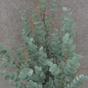 EUCALYPTUS BUSH X7 20" PLASTIC DARK GREEN