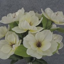 MAGNOLIA BUSH X11 SATIN 19"  CREAM/WHITE