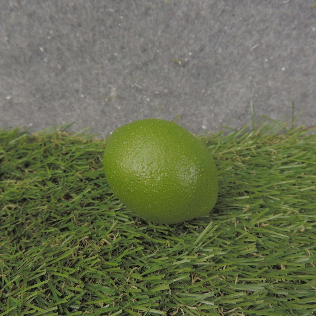 LIME LIFE-LIKE 2.5" (10/BAG)