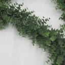 EUCALYPTUS GARLAND 6' PLASTIC 