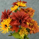 DAHLIA/ZINNIA MIXED BUSH X13