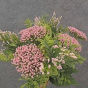 HEATHER/Q.A.L BUNDLE X10 14&quot; PINK
