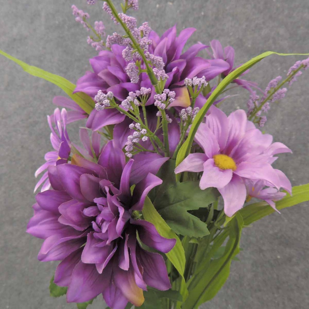 DAHLIA/DAISY BUSH X10 19" PURPLE