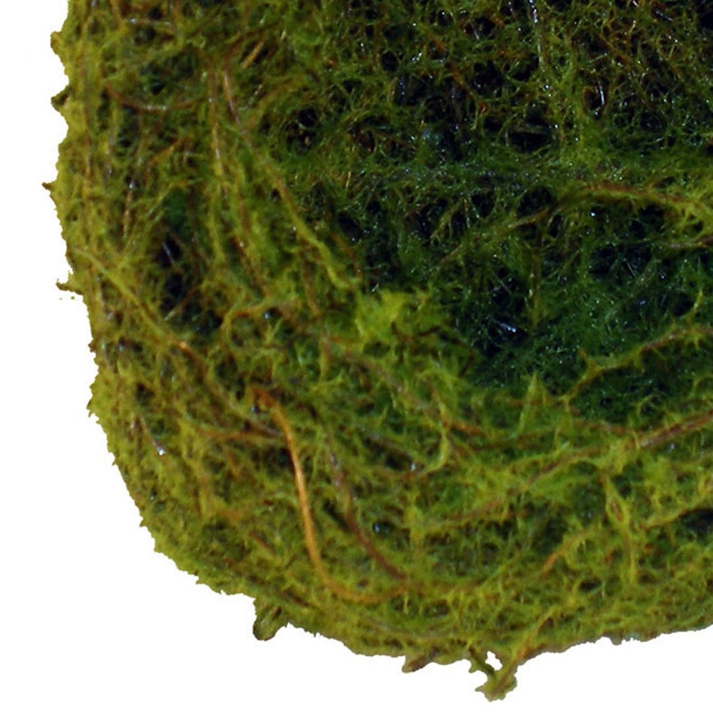 3" MOSS NEST  (12 PER BAG)