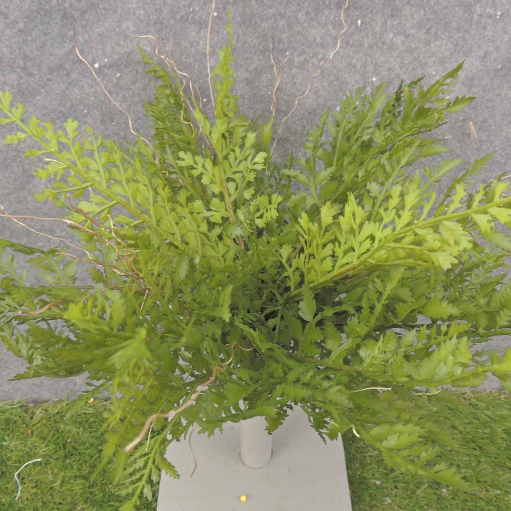 FERN PICK 14" PLASTIC GREEN 