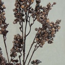 BERRY SPRAY 28.5&quot; DUSTY BROWN