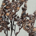 BERRY SPRAY 28.5&quot; DUSTY BROWN