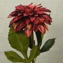 DAHLIA SPRAY 25"    BURGUNDY