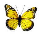 3.25" PRINTED  FALL COLOR BUTTERFLY 4 ASSORTED (8 PER BOX)