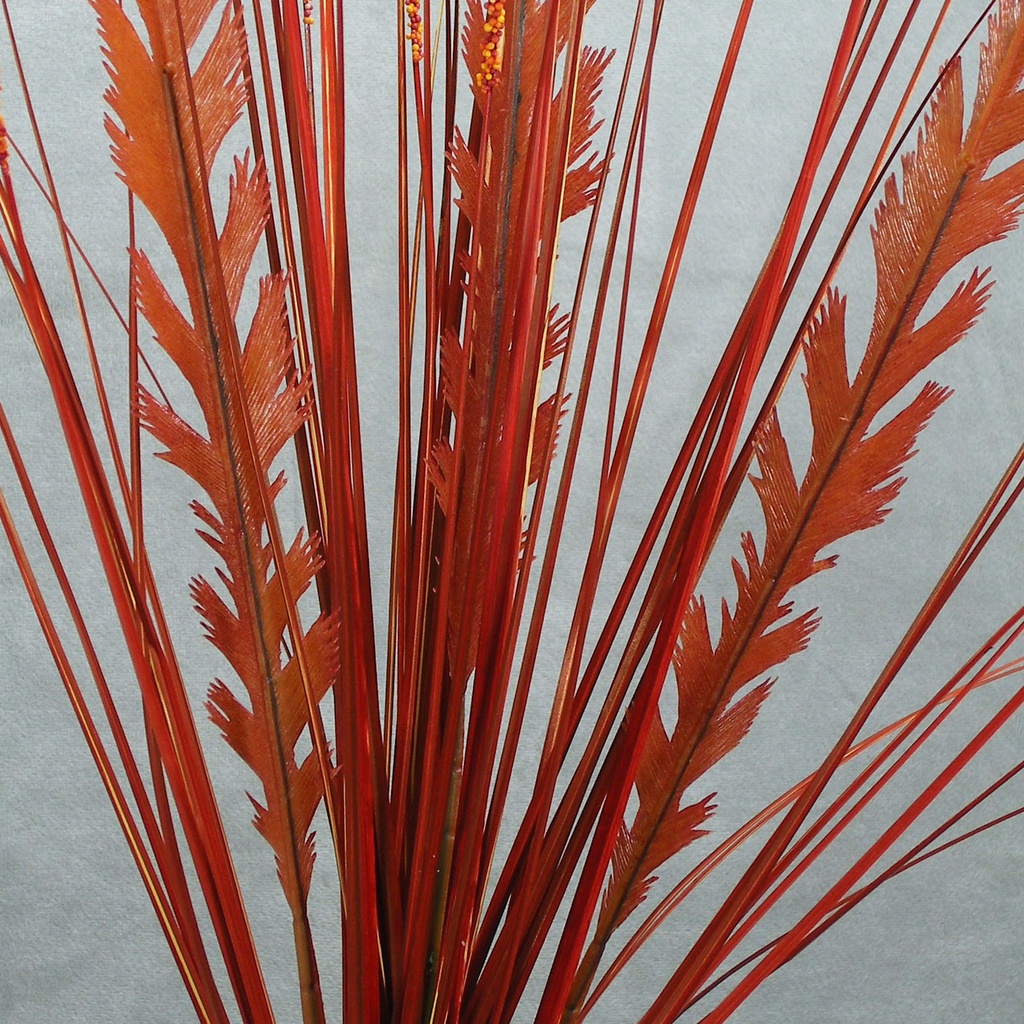 FERN W/ONION GRASS SPRAY 33"  RED/ORANGE