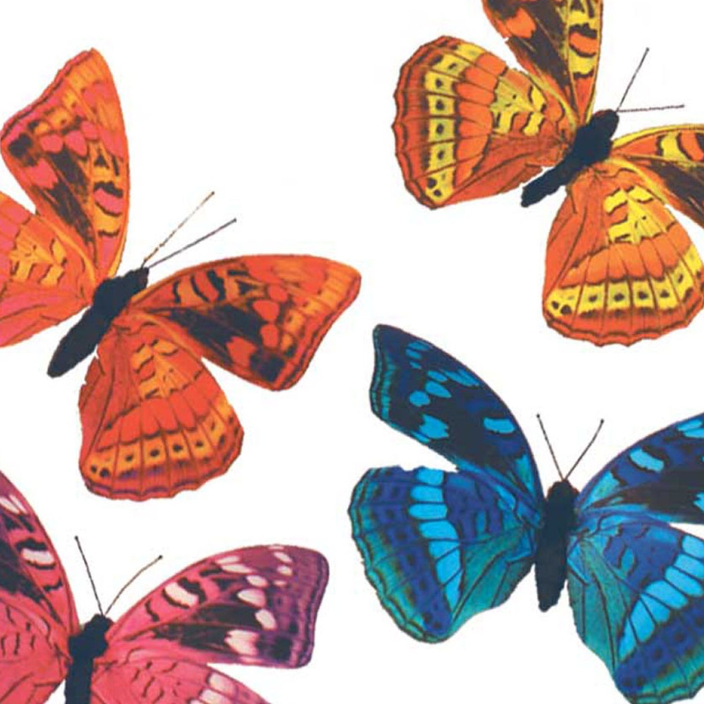 3.25&quot; PRINTED BUTTERFLY 4 ASSORTED (8 PER BOX)