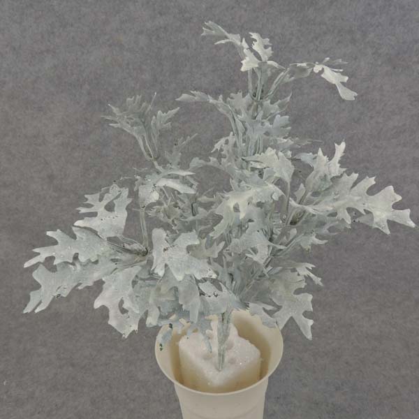 DUSTY MILLER BUSH 11" X5