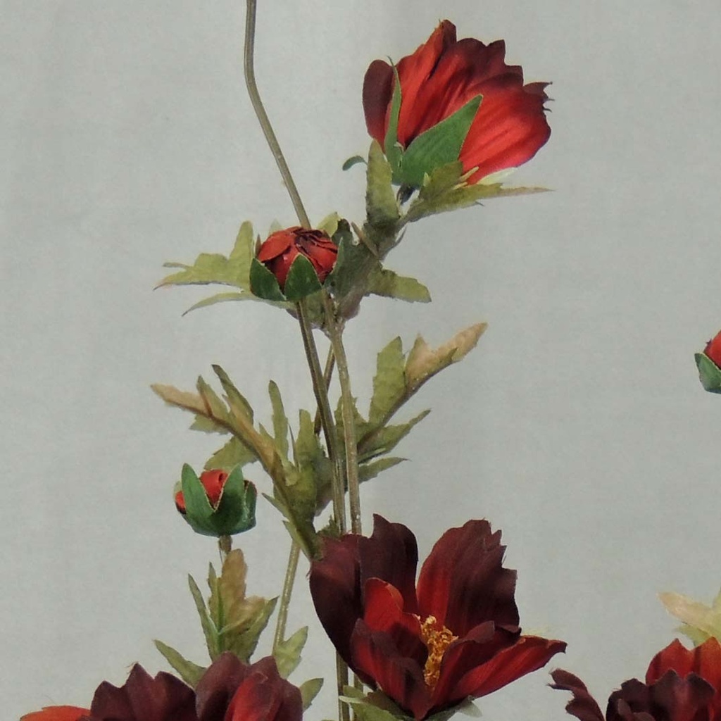 COSMOS SPRAY X3 (3/BUNDLE) 33"  RED