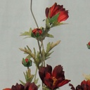 COSMOS SPRAY X3 (3/BUNDLE) 33"  RED