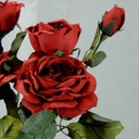 ROSE CABBAGE SPRAYx3(2/BNDL)30"  RED