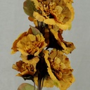 HOLLY HOCK SPRAY 42"  MUSTARD