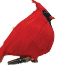 3.5&quot; FAT SITTING CARDINAL WITH FEATHERS AND CLIP