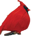 3.5" FAT SITTING CARDINAL WITH FEATHERS AND CLIP