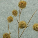 FUZZY BALL SPRAY X3 31&quot;  GREEN