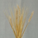 WHEAT BUSH 19" NATURAL