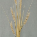 WHEAT/ONION GRASS SPRAY 32"