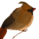 3.5&quot; FAT SITTING FEMALE CARDINAL WITH FEATHERS  
