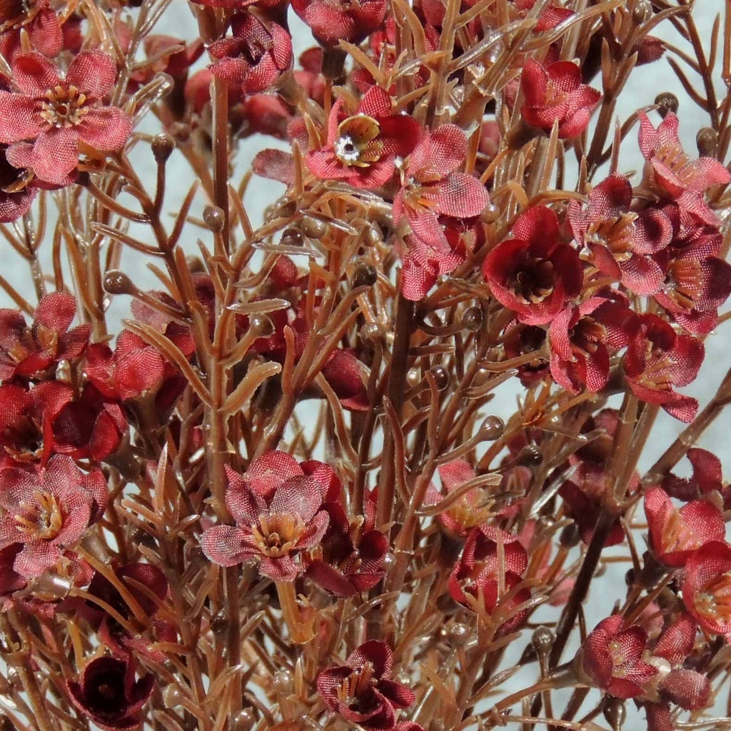 WAX FLOWER BUSH X9   18"  BURGUNDY