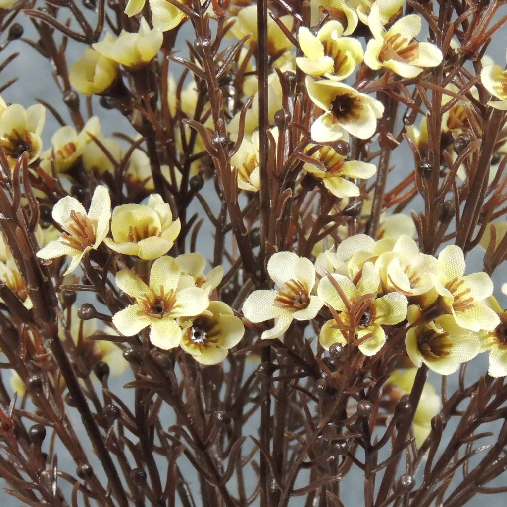 WAX FLOWER BUSH X9   18"  CREAM/GREEN