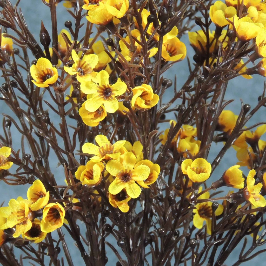 WAX FLOWER BUSH X9   18"  GOLDEN YELLOW