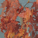 IVY LEAF HANGING BUSH X5 23"  ORANGE/RED