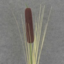 CATTAIL SPRAY 32" 12/BAG 1x5"ct