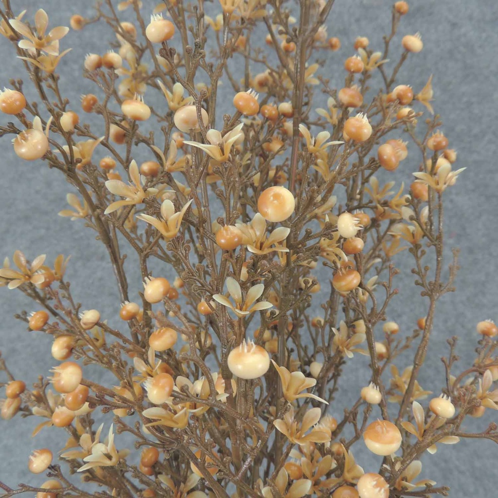 BERRY/WAXFLOWER BUSH X7 21" O.D.  BROWN