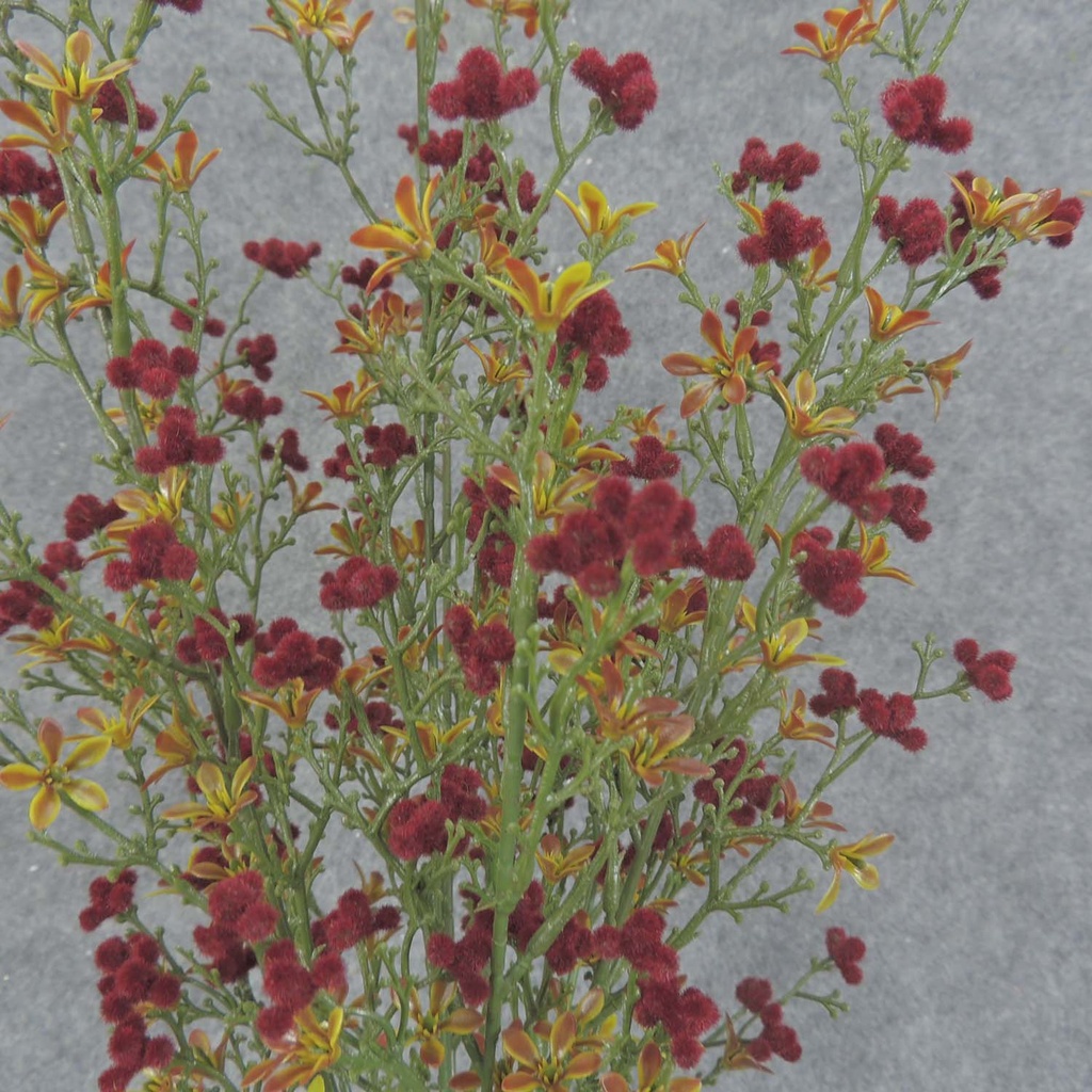 BLOSSOM/BERRY BUSH 20&quot; BURGUNDY