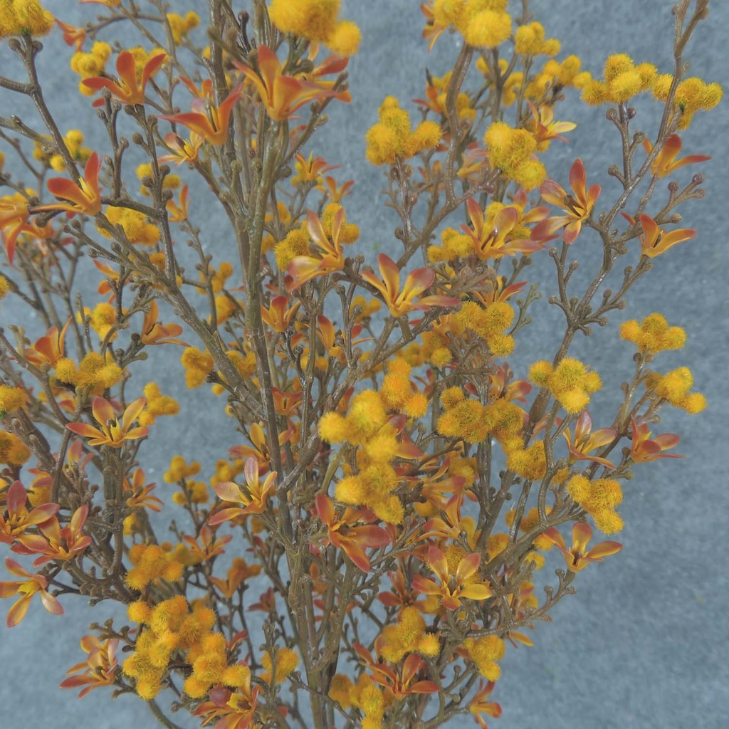 BLOSSOM/BERRY BUSH 20" MUSTARD