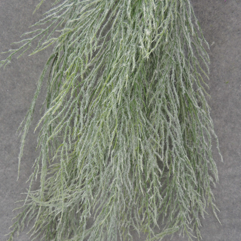 MOSS HANGING BUSH FLOCKED 34"