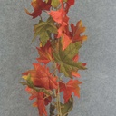 MAPLE LEAF GARLAND 6'