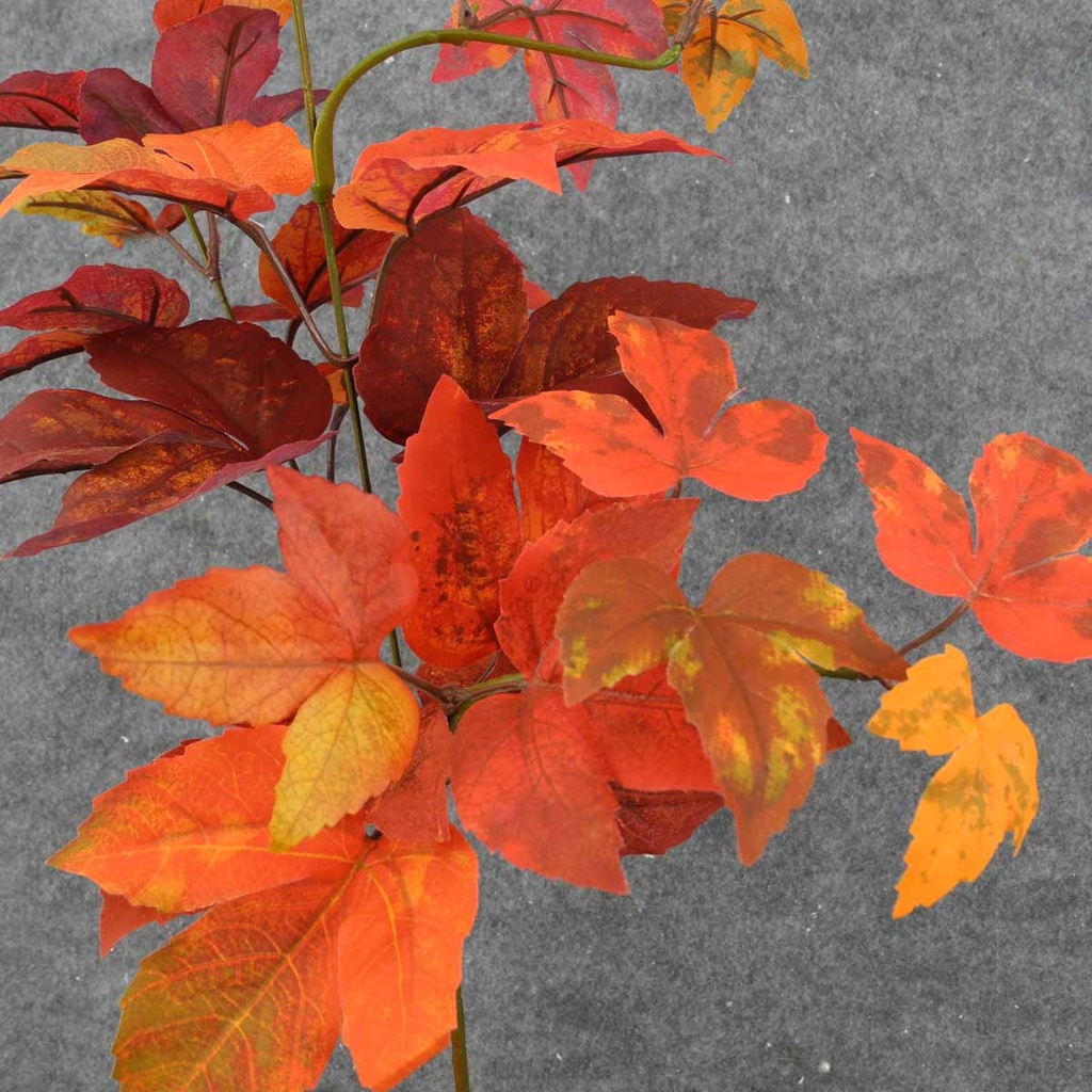 MAPLE LEAF SPRAY X3 AUTUMN