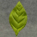 LEAVES CORSAGE MEDIUM GREEN (100/BAG)
