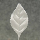 LEAVES CORSAGE MEDIUM WHITE (100/BAG)