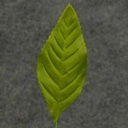 LEAVES CORSAGE LARGE GREEN (100/BAG)